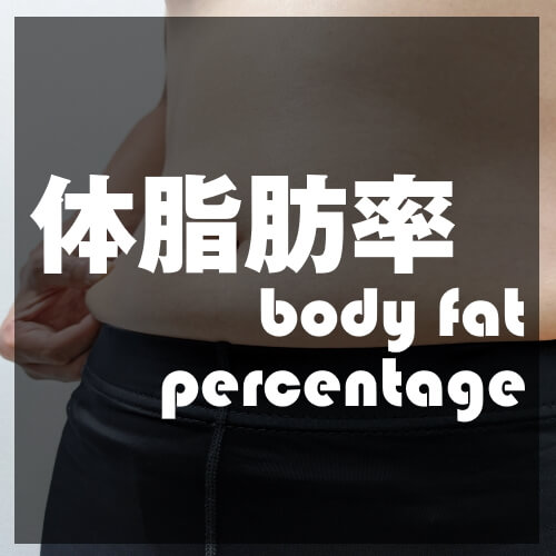 【週刊スラット -Week 11】体脂肪率
