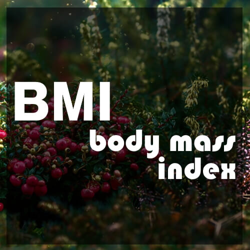 【週刊スラット -Week 3】BMI